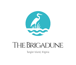 Brigadune Logo